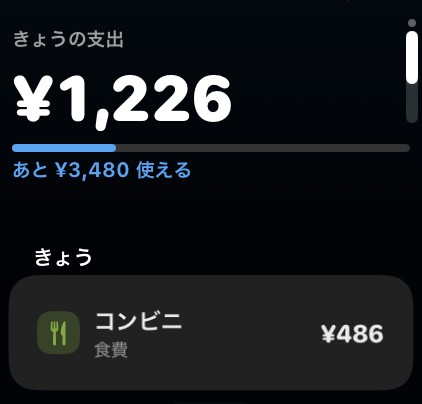 きょうの記録。コンビニ ¥486